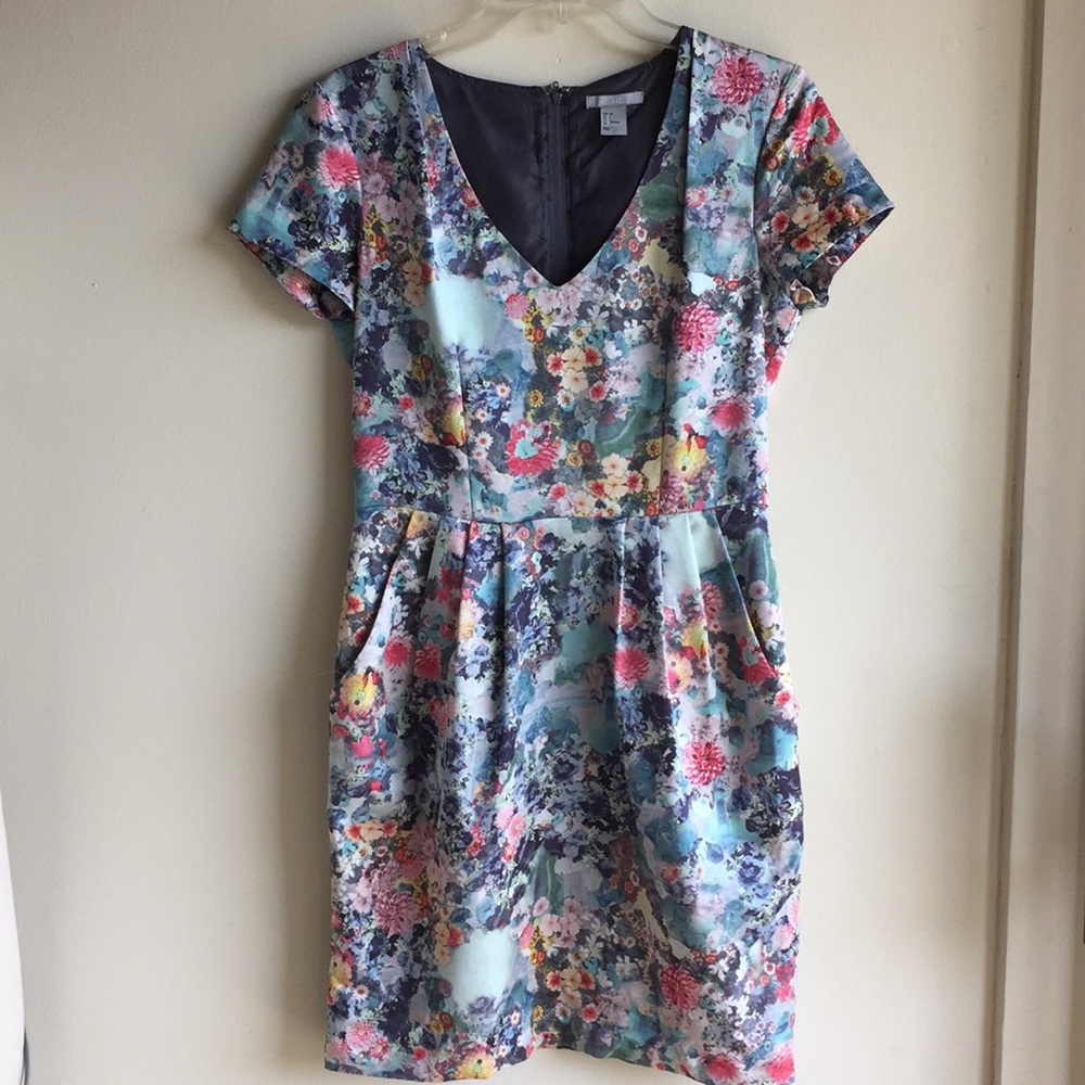 H&M short slv multi floral print lined dress